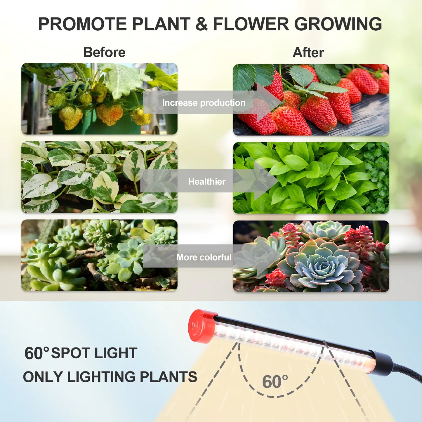 4-Head Table Top Grow Lights for Indoor Plants,Timer, 36W