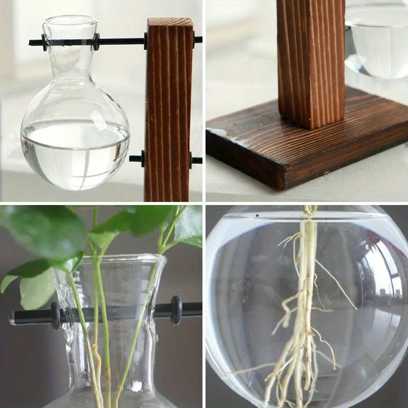 Hydroponic Glass Vase, Vintage Desktop Plant Terrarium Planter