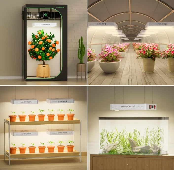 KingLED KP1000 LED Grow Light for Indoor Plants, Full