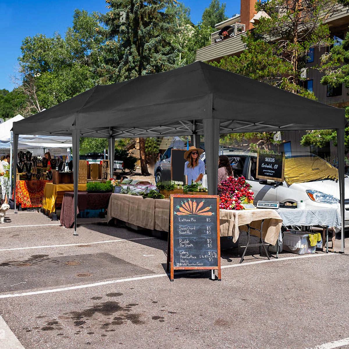 10x20 FT Pop up Canopy Tent with Sidewalls,