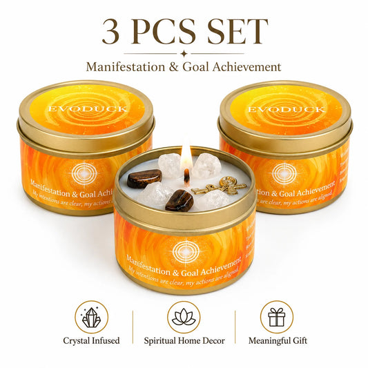 3Pcs Manifestation & Goal Achievement Cinnamon & Sandalwood Scented Soy Candles