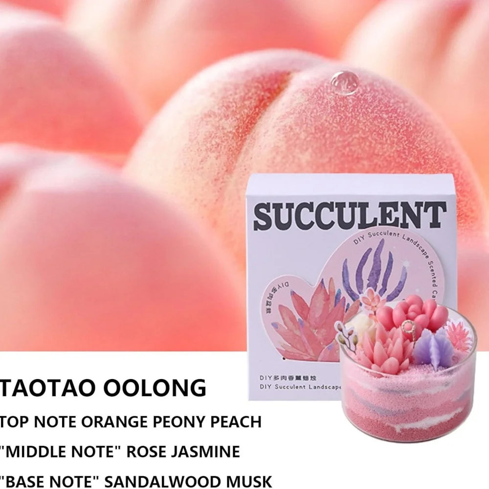 Candle Kit–Succulents  Handmade Scented Candles