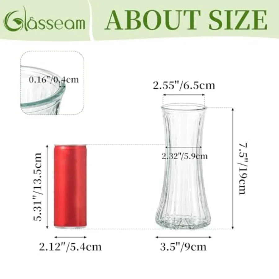 Glass Vase for Home Decor: Clear  - 7.5" Tall