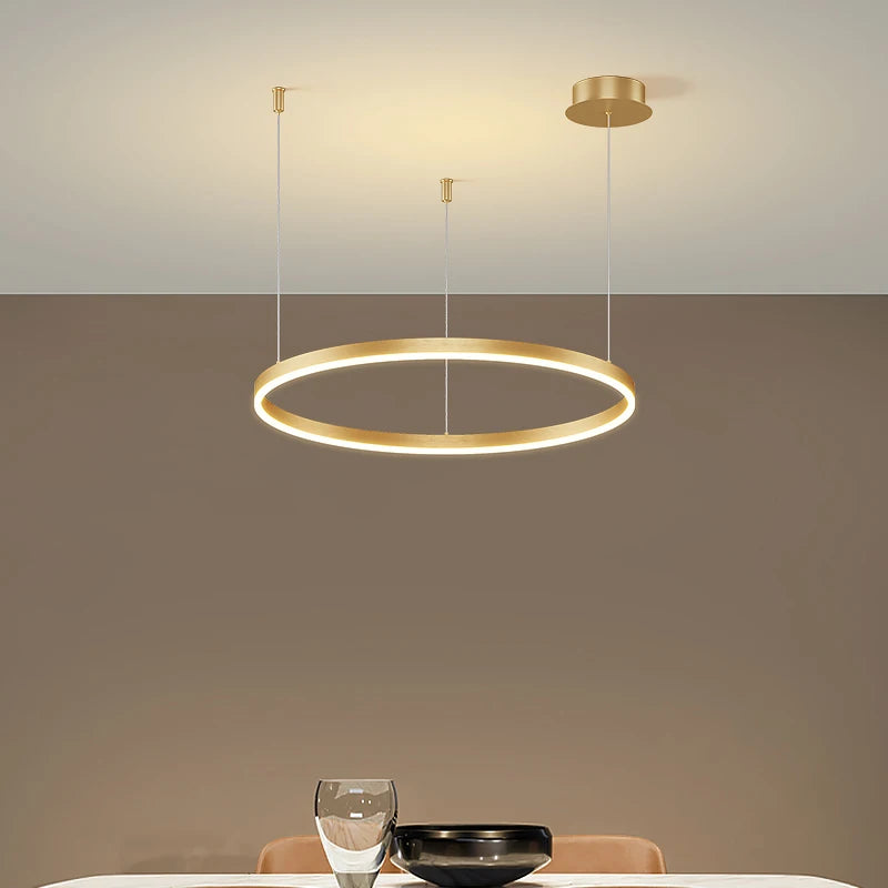 Modern Led Ceiling Chandelier Circular Ring Chandelier