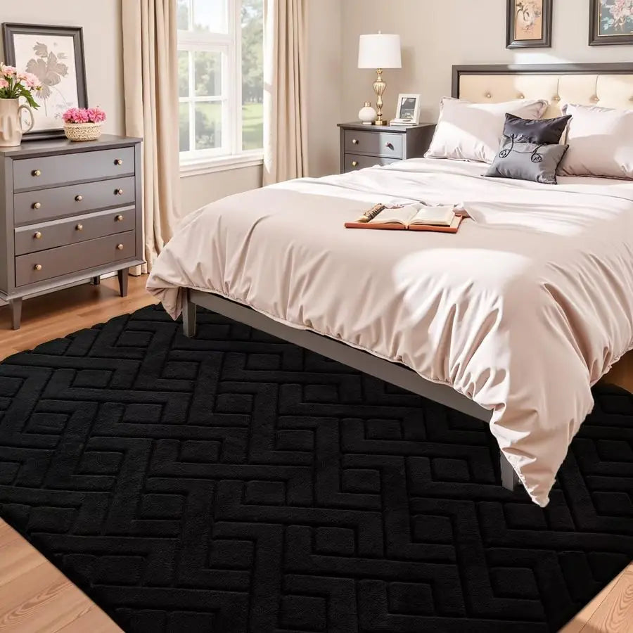 Black Washable Area Rug, NonSlip, Fluffy Plush Soft