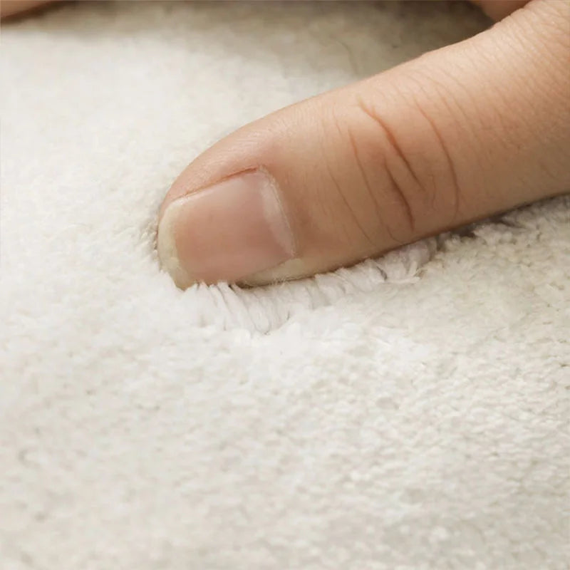 Irregular Shapes Rugs Thick Anti-slip Fluffy