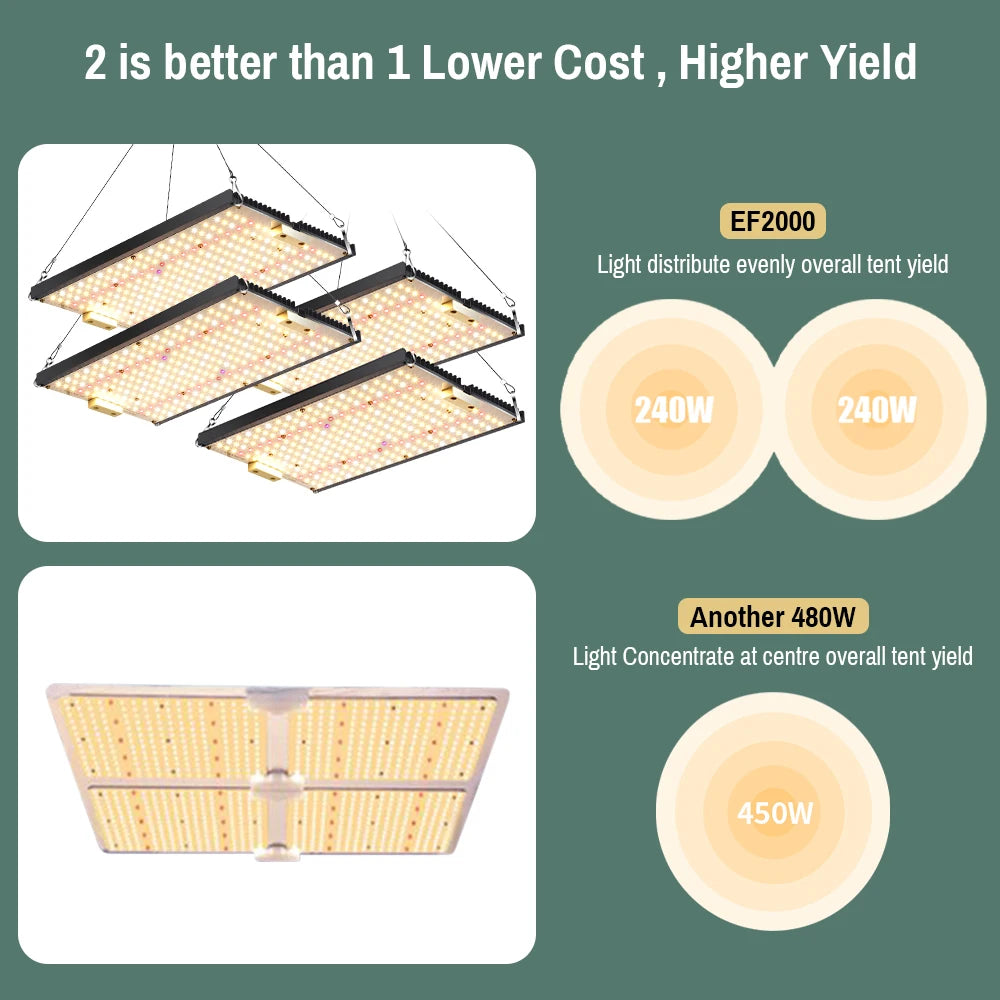 240Watt Led Grow Light Quantum Seeds To Plants