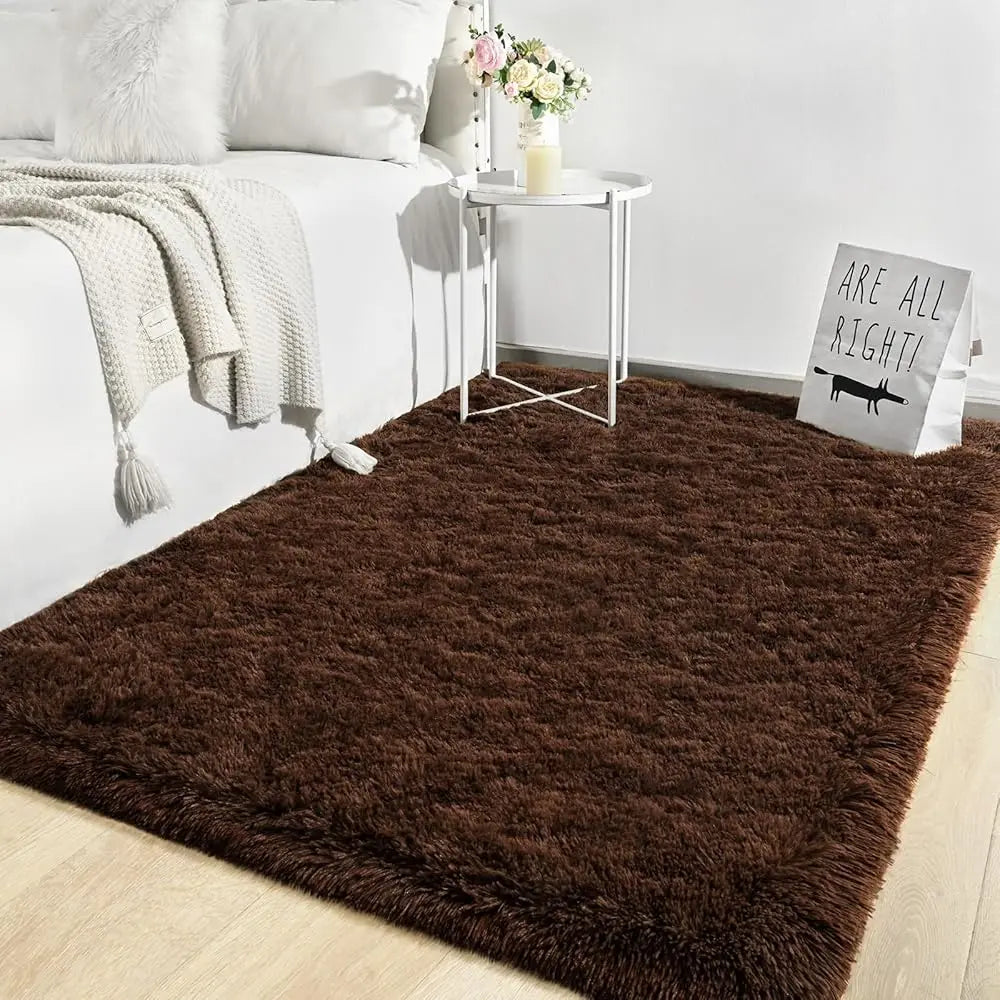 Super Soft Shaggy Rugs Fluffy Carpets, 4X5.9 Feet