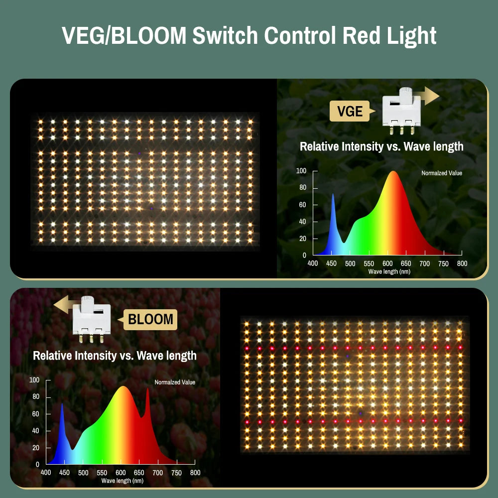 240Watt Led Grow Light Quantum Seeds To Plants