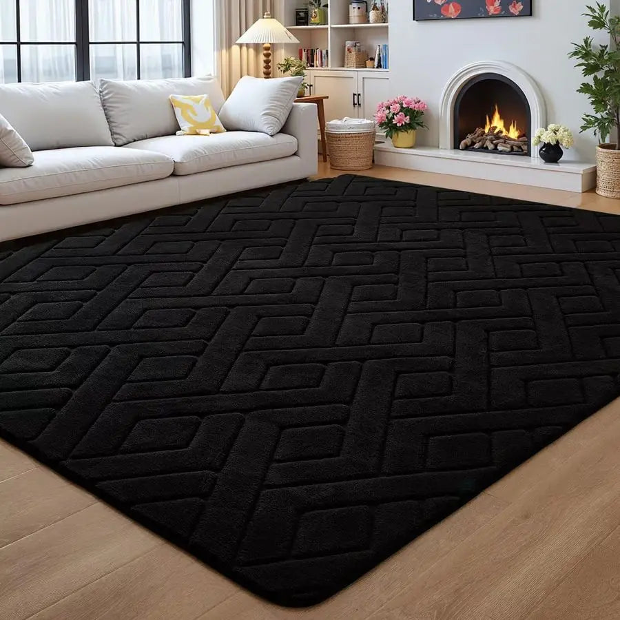 Black Washable Area Rug, NonSlip, Fluffy Plush Soft