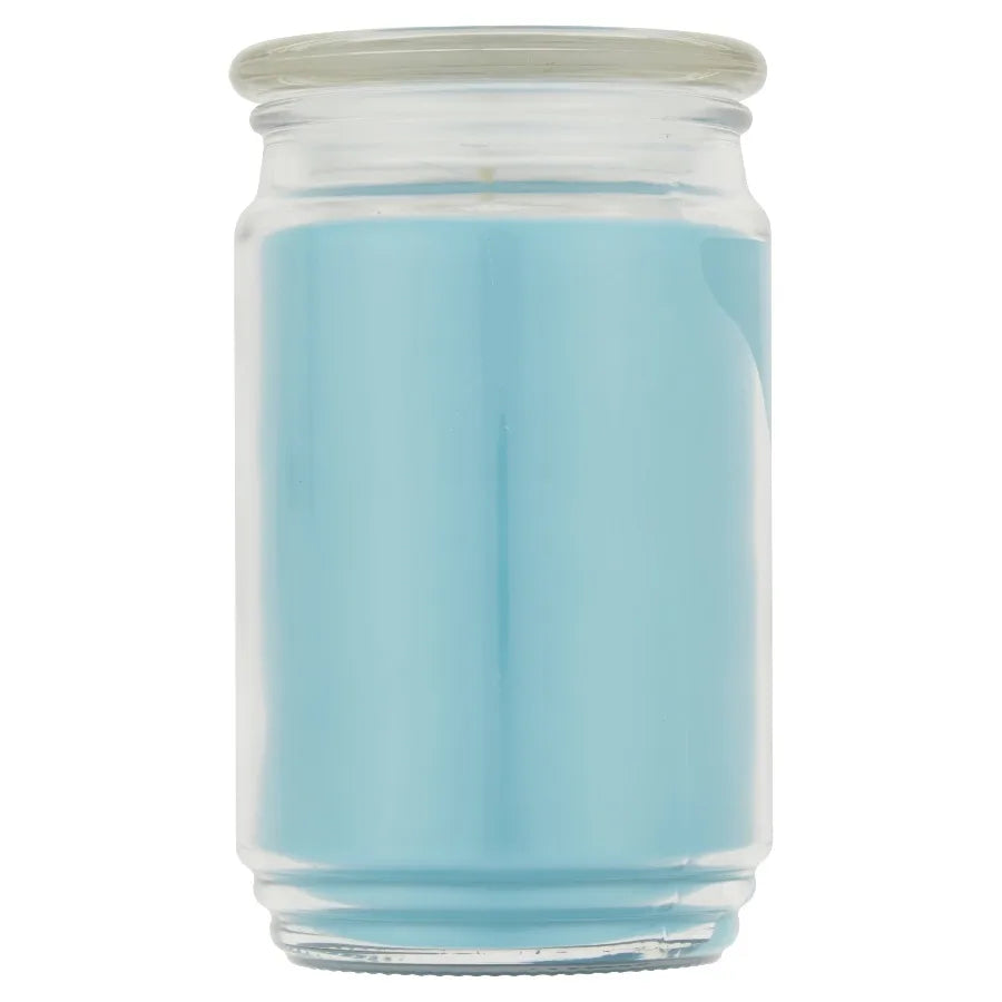 Mainstays Single-Wick Scented Glass Jar Candle, Garden Rain, 20oz.