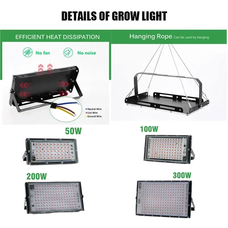 Phyto Lamp 50W 100W 300W Full Spectrum Led