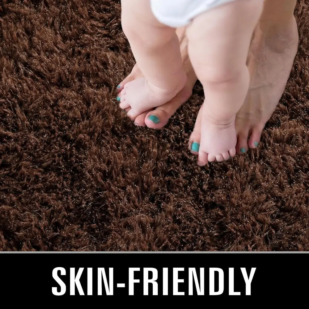 Super Soft Shaggy Rugs Fluffy Carpets, 4X5.9 Feet