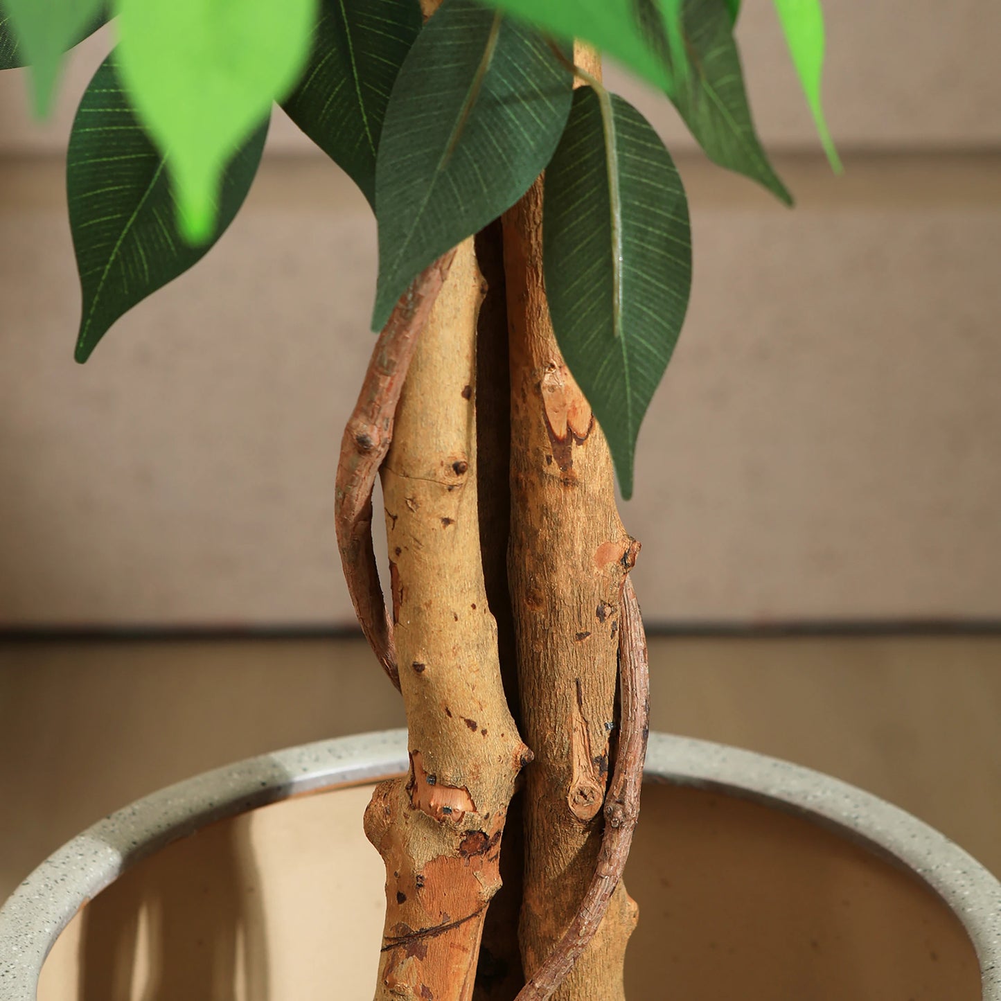 Artificial Ficus Trees with Natural Curved Trunks,  Silk Fake Ficus Tree in Plastic Nursery Pot for Office Home Decor