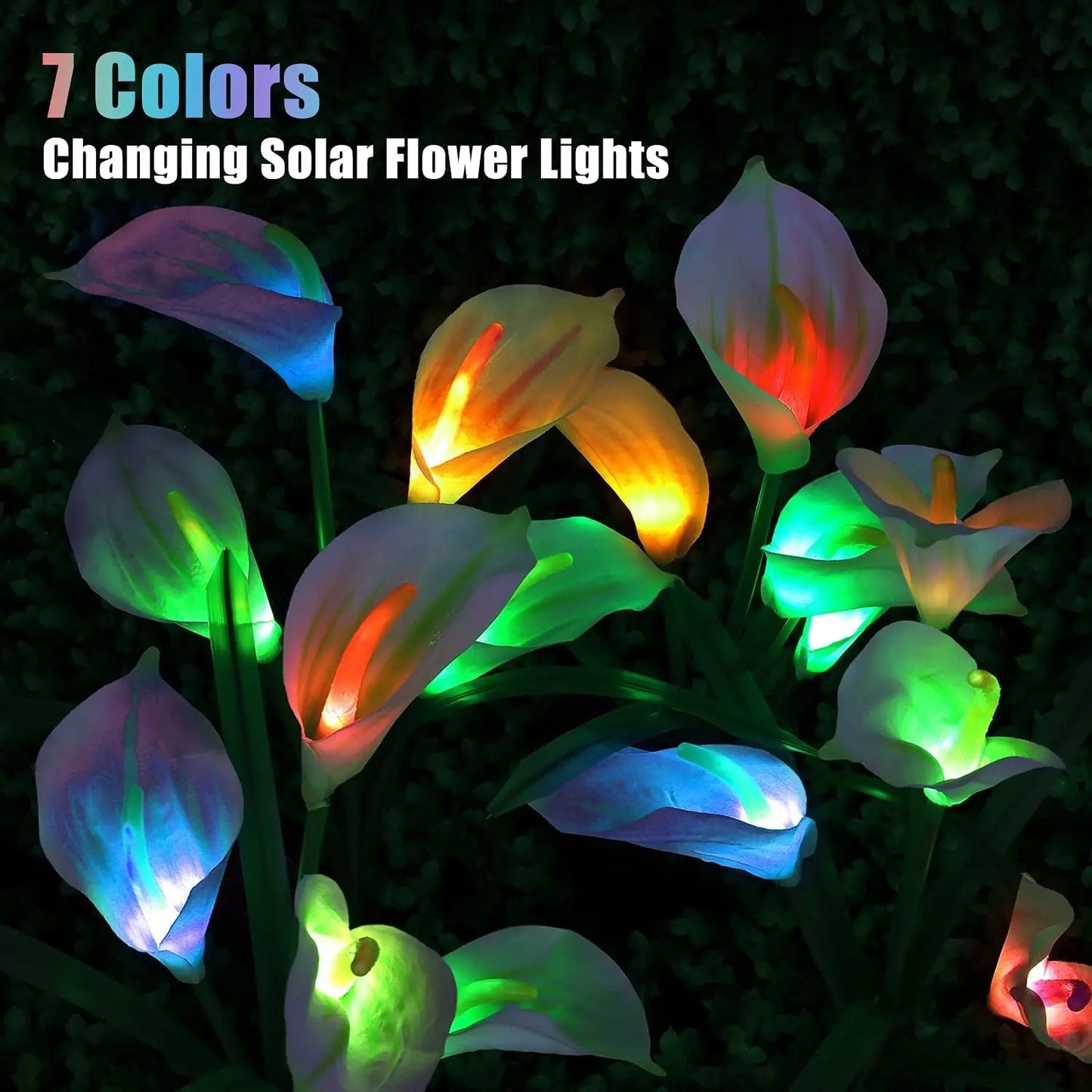 Solar Stake Lights with 4 Calla Lily LED Flowers