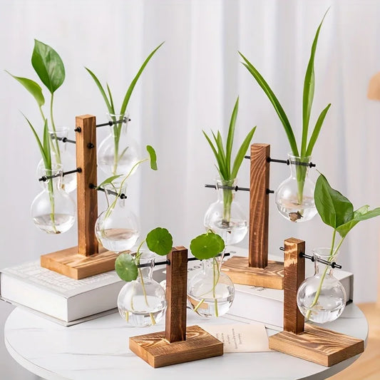 Hydroponic Glass Vase, Vintage Desktop Plant Terrarium Planter