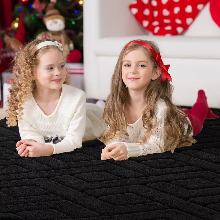 Black Washable Area Rug, NonSlip, Fluffy Plush Soft
